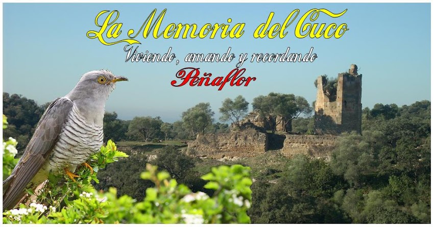 memoria del cuco