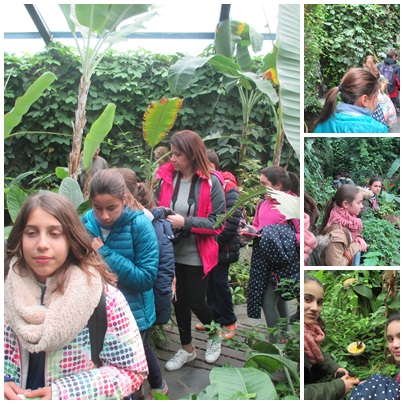 MARIPOSARIO