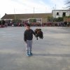 img_0391