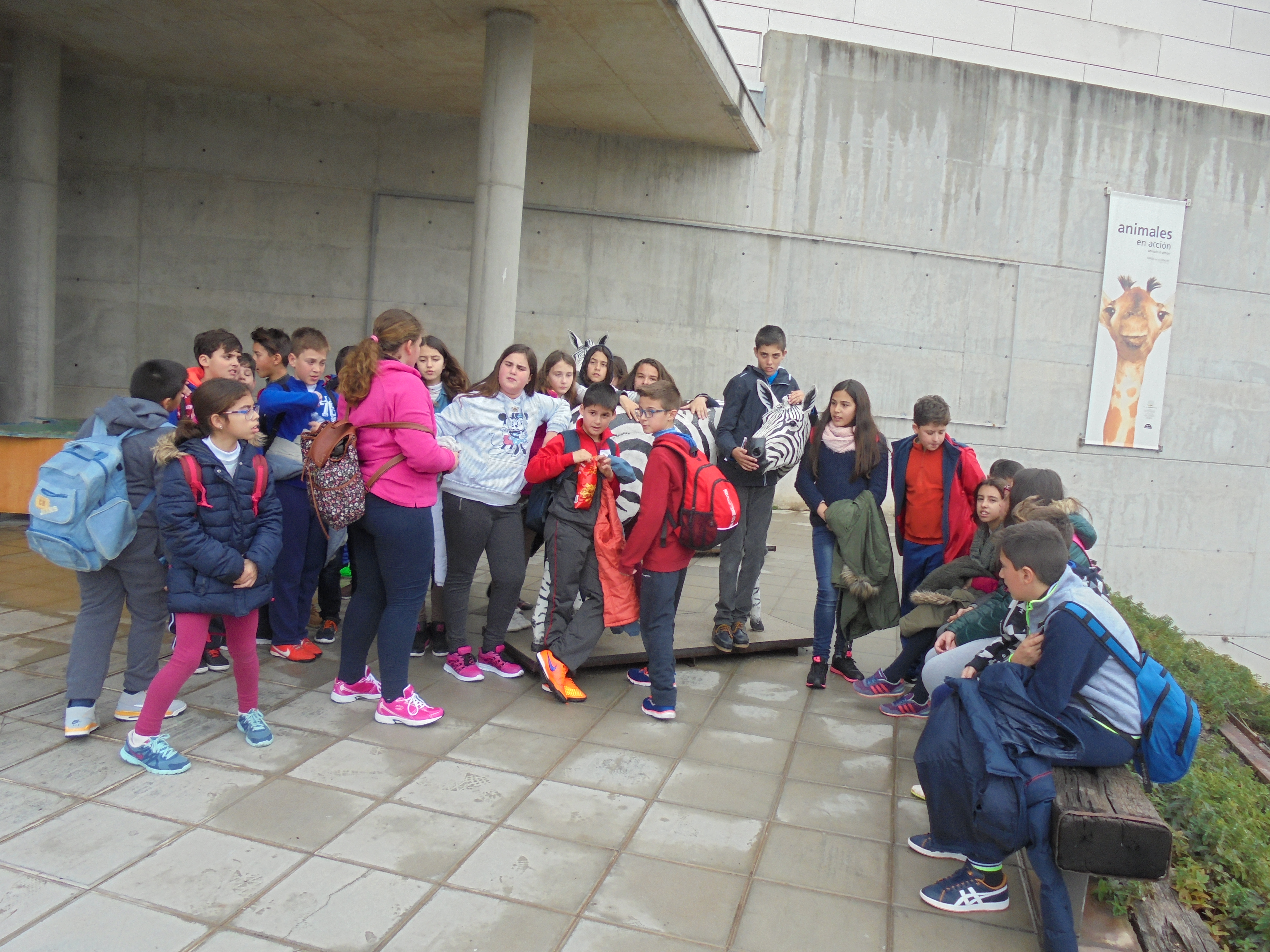 dsc00606.jpg